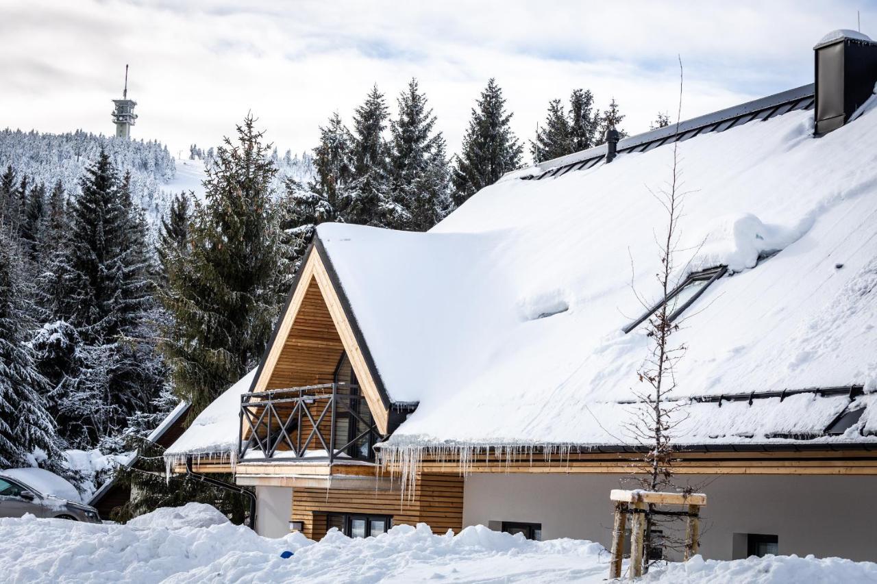 Loučná pod Klínovcem Ski Chalet Klinovec מראה חיצוני תמונה